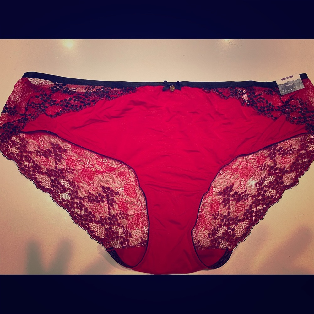 Red Lace Underwear